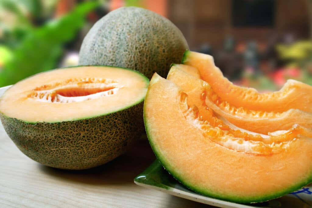 Minnesota Cantaloupe Salmonella Recall Lawsuit